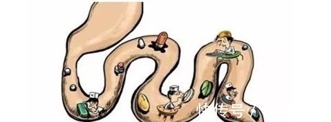 西梅|便秘成顽固性?天天喝一杯这个,正常排便还能预防再次便秘!