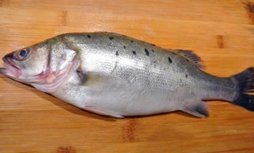 挑选鲈鱼|买鲈鱼时,不要看大小挑选,学会这几招,老板一看你就是行家