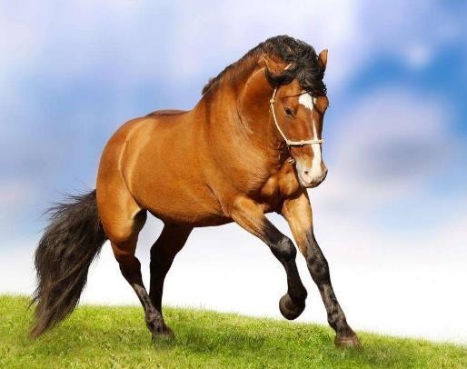 可有可无|白胜可有可无,为何排名还在时迁、段景柱之上?不只是因为资历