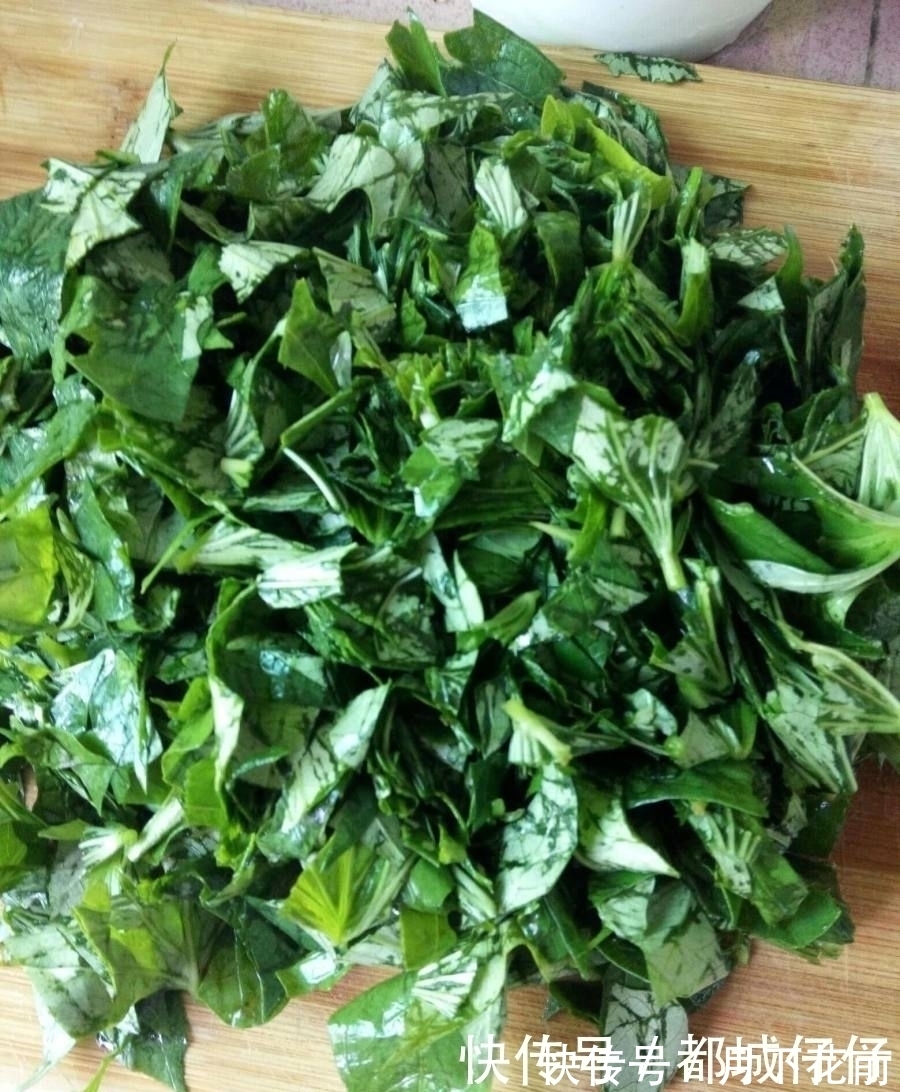红薯叶|是菜也是药,隔天吃一回,营养极高,7块一斤,视力清晰身体强壮