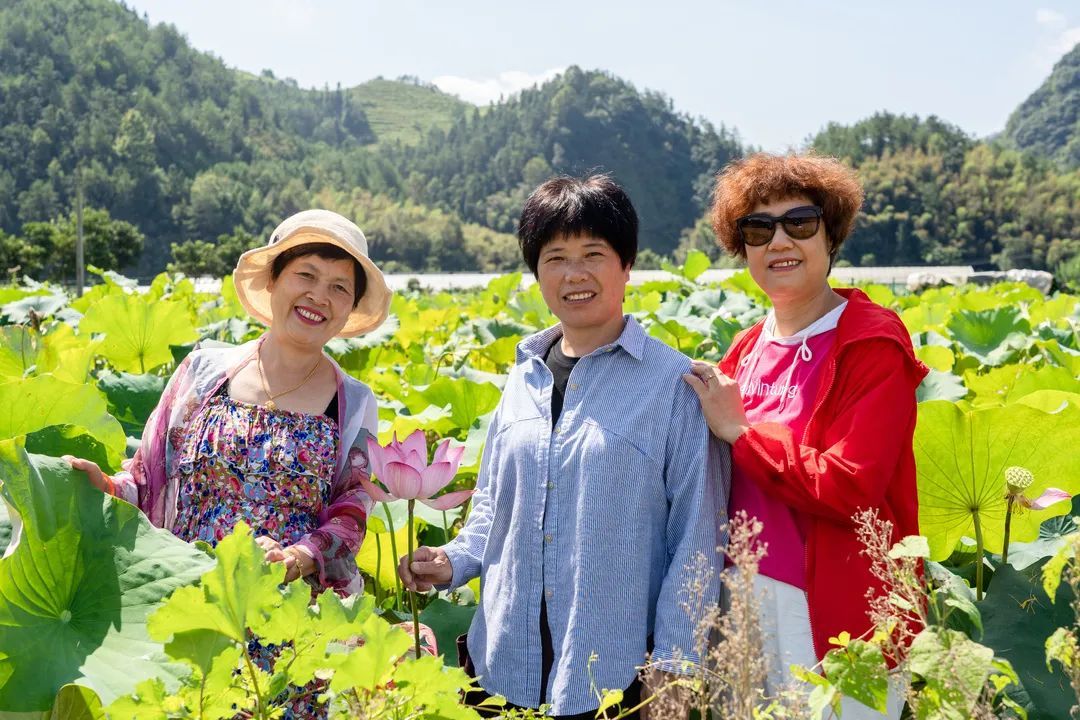 指数|跟着赏花指数嗨起来，在这邂逅花海中的诗和远方