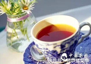 全发酵茶|发酵茶好还是不发酵茶好？