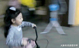 |搞笑GIF趣图:这车货太多了,我得先躺下歇一会儿