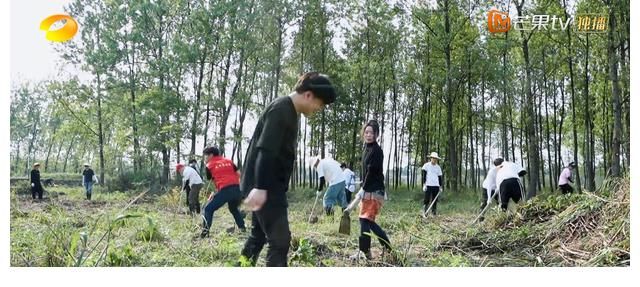 何炅|《向往5》一期十位客人，维嘉到来不仅为干活，还有一个暖心目的