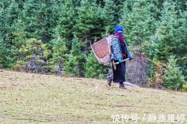 村民们|藏在甘南深山里的绝美秘境，传说中神仙居住的地方，你想去吗？