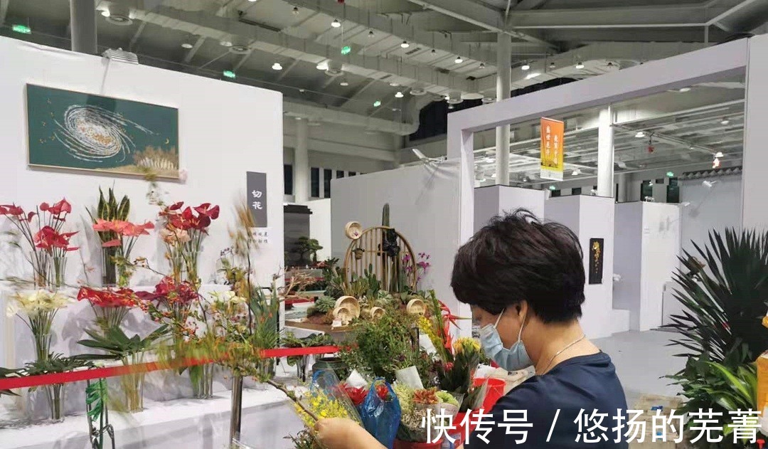 重磅|【最新】花博园里的“重磅新款”来了!