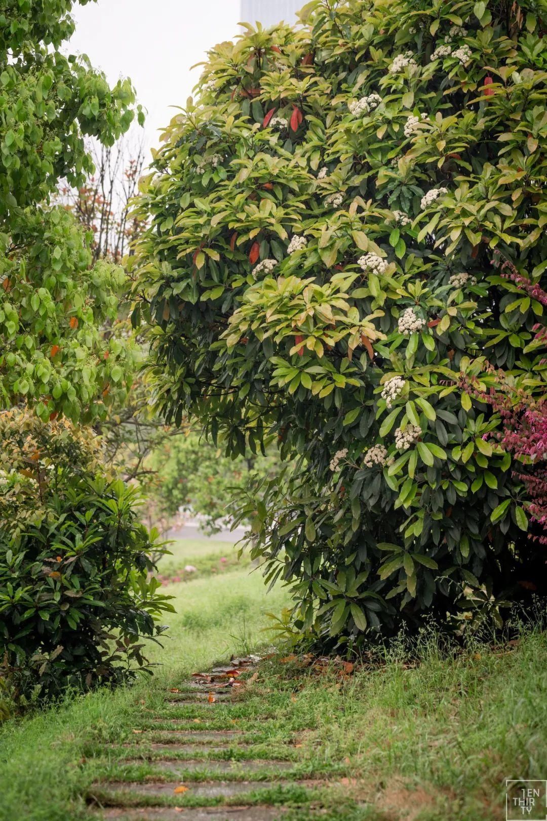 天呐！十堰街头飘出“不可描述”的气味，竟然是......