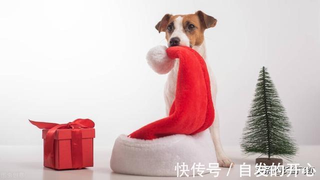 |转发九则2021年笑话,让大家乐一乐,开开心心过新年