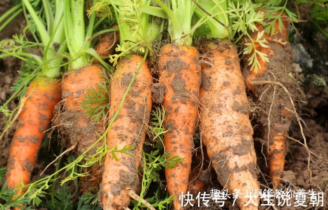 降糖降压工|此物是天然的降糖降压工,每天当零食吃一把,身体更健康