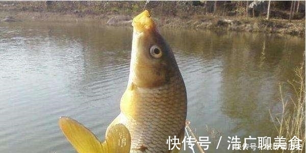 新手|野钓时，为何你总钓不到大鱼？老钓友只重视这2点，新手却常忽视