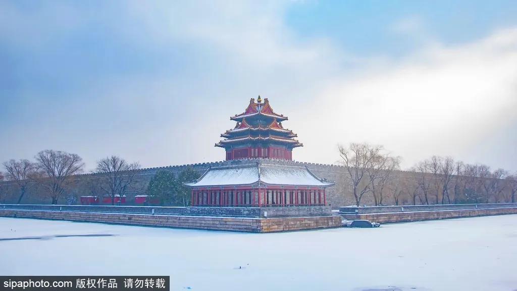 细“鼠”点滴:极不平凡的2020年,看完竟然默默流泪了!