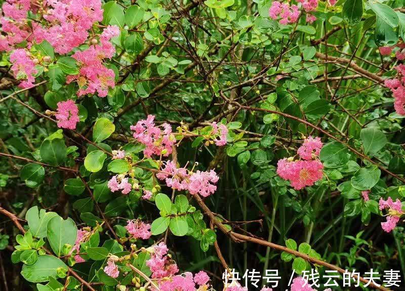 入睡|你晚上有辗转反侧失眠难入睡的经历吗？