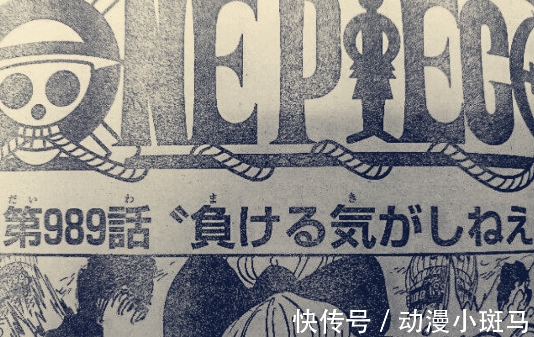 罗宾|海贼王989话情报：大妈又悲催了，草帽团将全员登场！