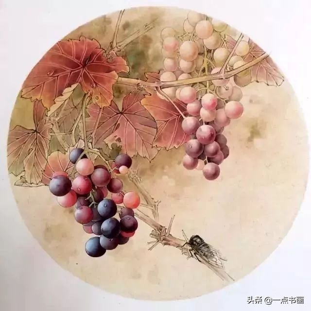 工笔#《葡萄秋蝉图》工笔绘制步骤