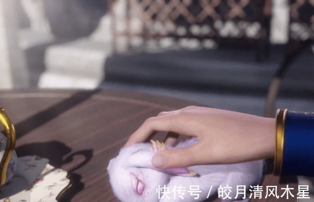 宁荣荣|斗罗大陆唐三撸兔成瘾,有谁注意到小舞的表情完全是生无可恋