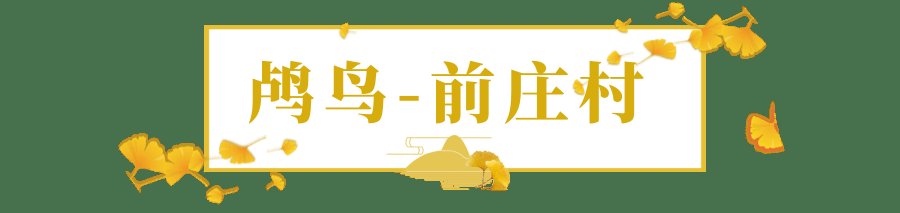 颜值|银杏染初冬，余杭迎来新一轮“颜值巅峰”！