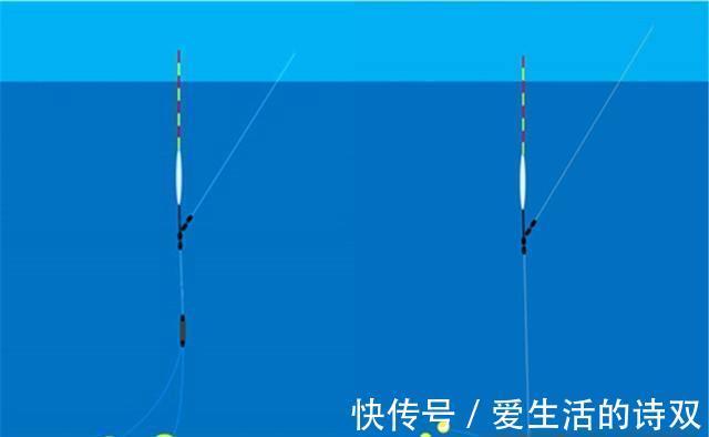 空军|夏季钓鲤鱼，这三个技巧尤其重要，影响了“空军”还是“爆护”