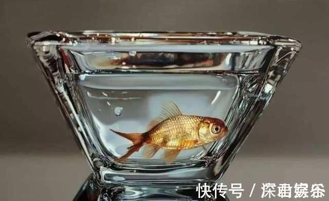 超写实主义@他画了一条金鱼,放大5倍后,网友大呼:相机可以扔了
