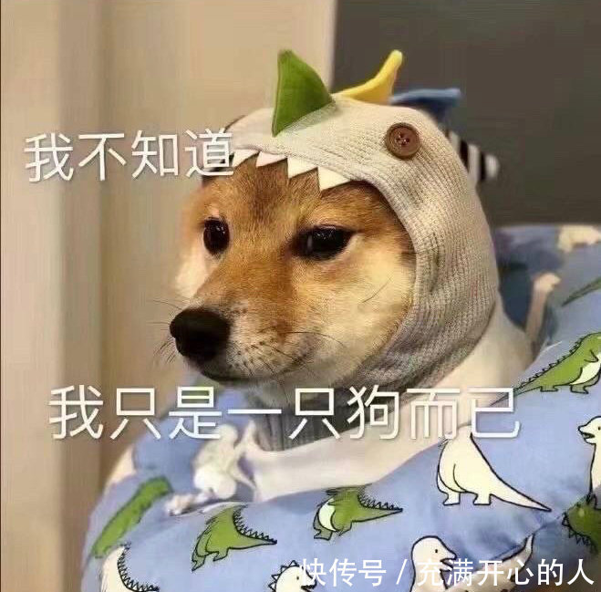 |搞笑表情包来啦