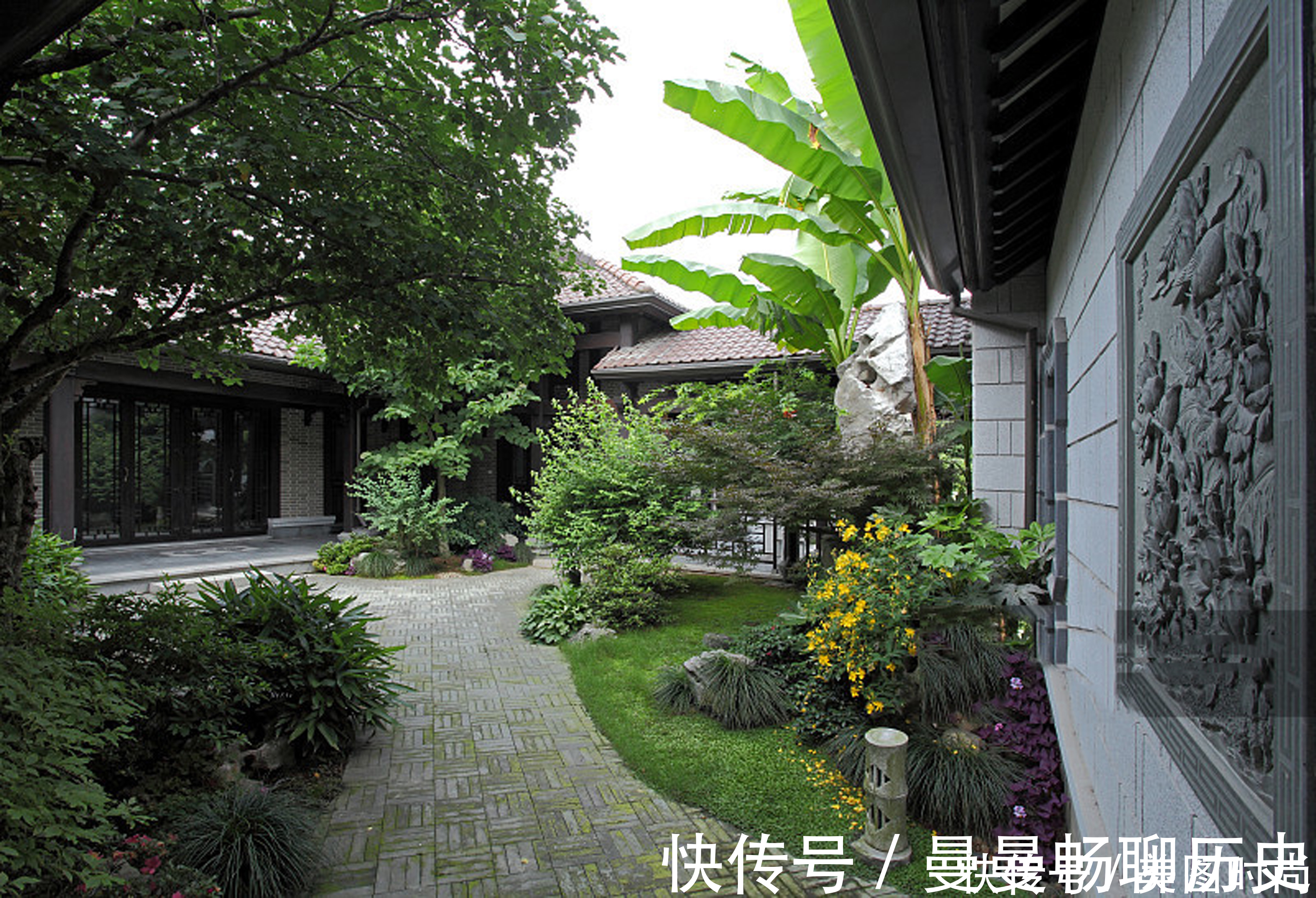 绿色植物|6招圆你中式庭院梦,有院子一定要做成中式风格,充满意境之美