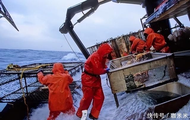 揭秘|揭秘俄罗斯帝王蟹:市场、新格局,鲜美食材背后有看不到的博弈