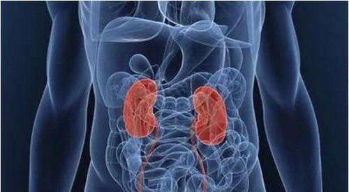 曝光这5个器官在晚上睡觉休息,你却在熬夜,怪不得会生病