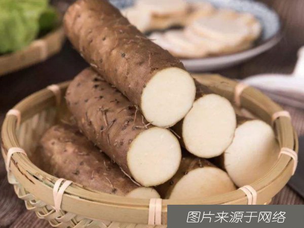 黄桃|女人多吃四种食物,美容养颜,滋润品皮肤抗衰老,聪明女人都知道