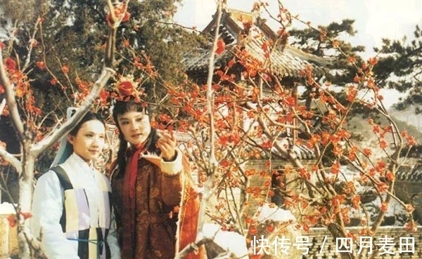 标杆|红楼梦妙玉:她是如何活成那个时代里的“行业标杆”的?