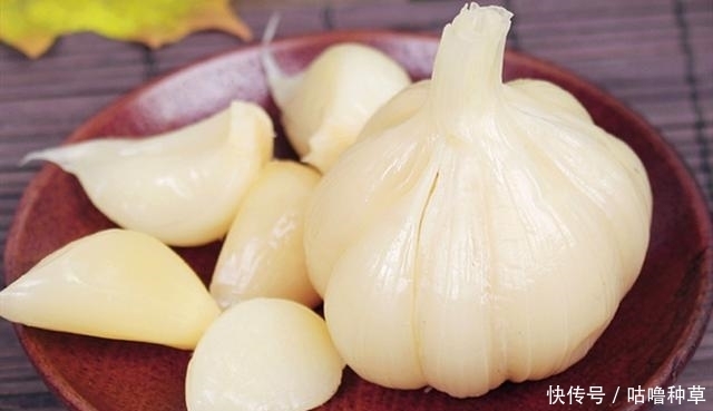 不再|学会这一小技巧,腌糖蒜不再难,不咸入味,色泽好看也耐存放