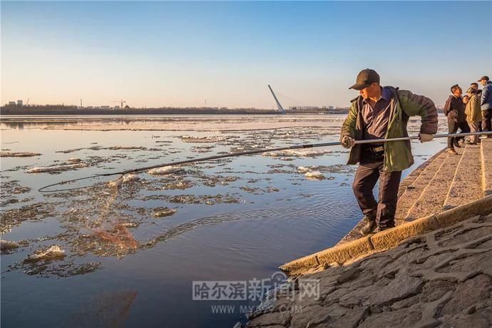 这才是最美的“快消”｜冰城特供，只此一季#超多美图【网络中国节·清明】