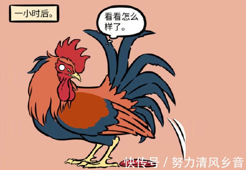 海燕|非人哉精卫和海燕去旅游,留下鸡蛋让星君孵化,这母爱溢出了屏幕