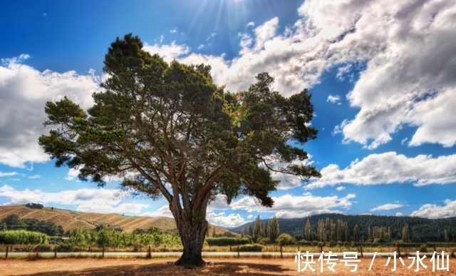 城府|这几个星座“心机重，城府深”，却不屑于算计他人，一生坦坦荡荡