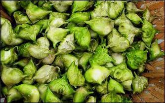 苋菜|农村这5种野菜,个个是宝,镇咳、减肥轻身、排毒,有钱都吃不上