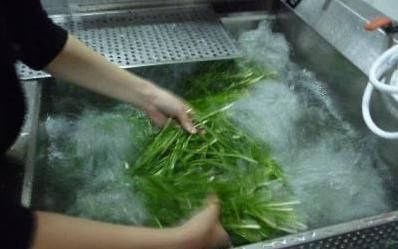 铁钉|用这2种“肥水”养花,比淘米水食醋水靠谱的多,养啥花都“旺”