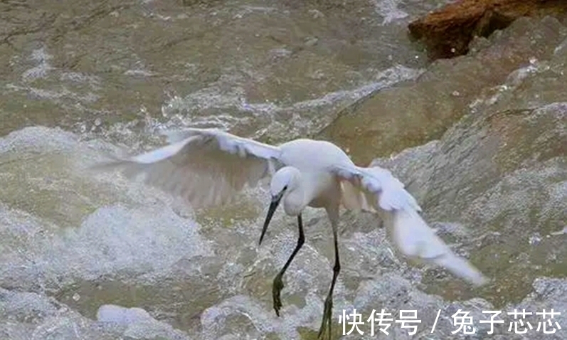 秋天|读两首唐诗，品古人笔下秋雨的韵味，感受那随心而动的凄情或美丽