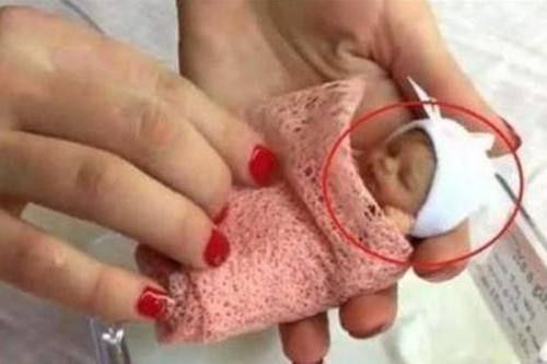 智商|宝宝智商高的5种表现,吃手是其中之一,超过3个宝宝以后不得了!