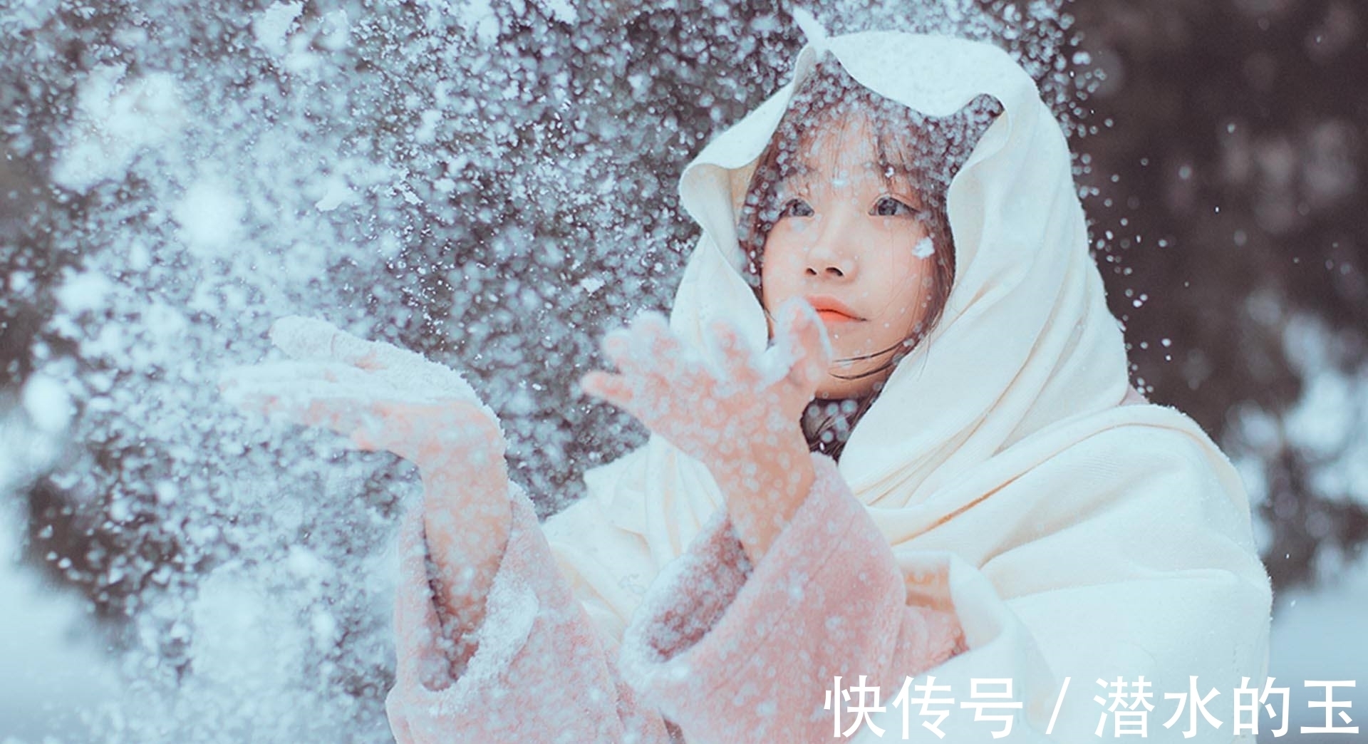 魏相&苏东坡冷门的八首雪诗,读过的都是博学之士