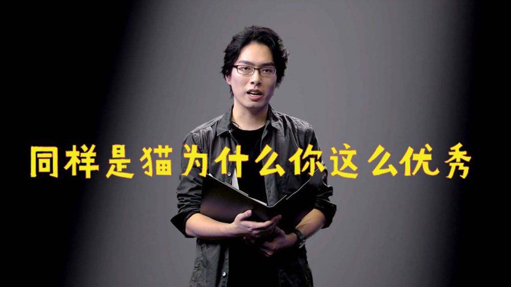 明日|明日方舟 大家都是猫，为什么你就这么突出？