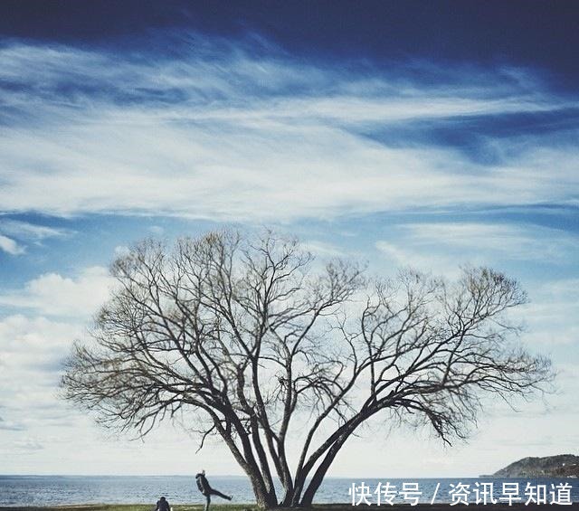 收藏|为人处世的智慧语录,句句受用,值得收藏一生!