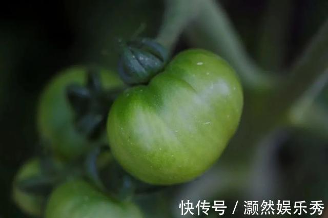 南瓜|8种不宜常吃的蔬菜公布,南瓜排最后,排首位的不少人几乎天天吃