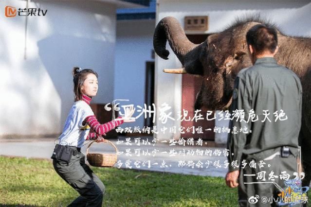 酒店|机票往返1K以内就能去东北滑雪！圣诞元旦报名即将截止...