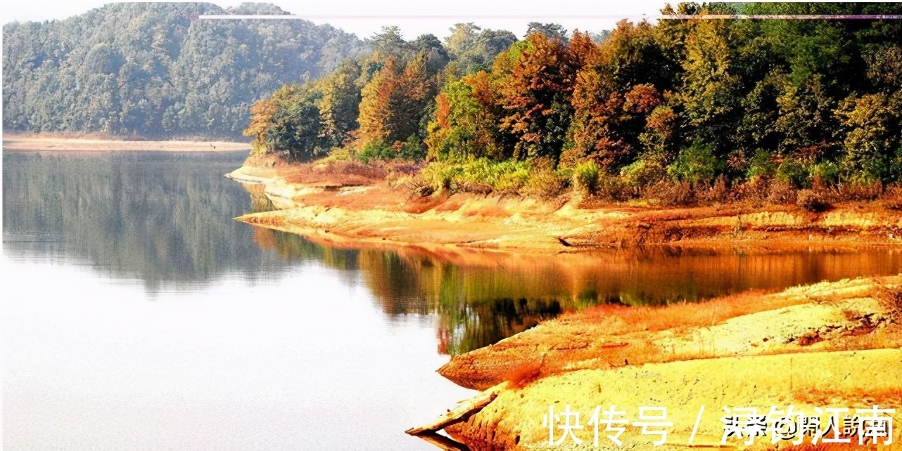 觅食|为何你在秋天钓不到鱼?别人却收获满满,原来是你忽视了天气因素