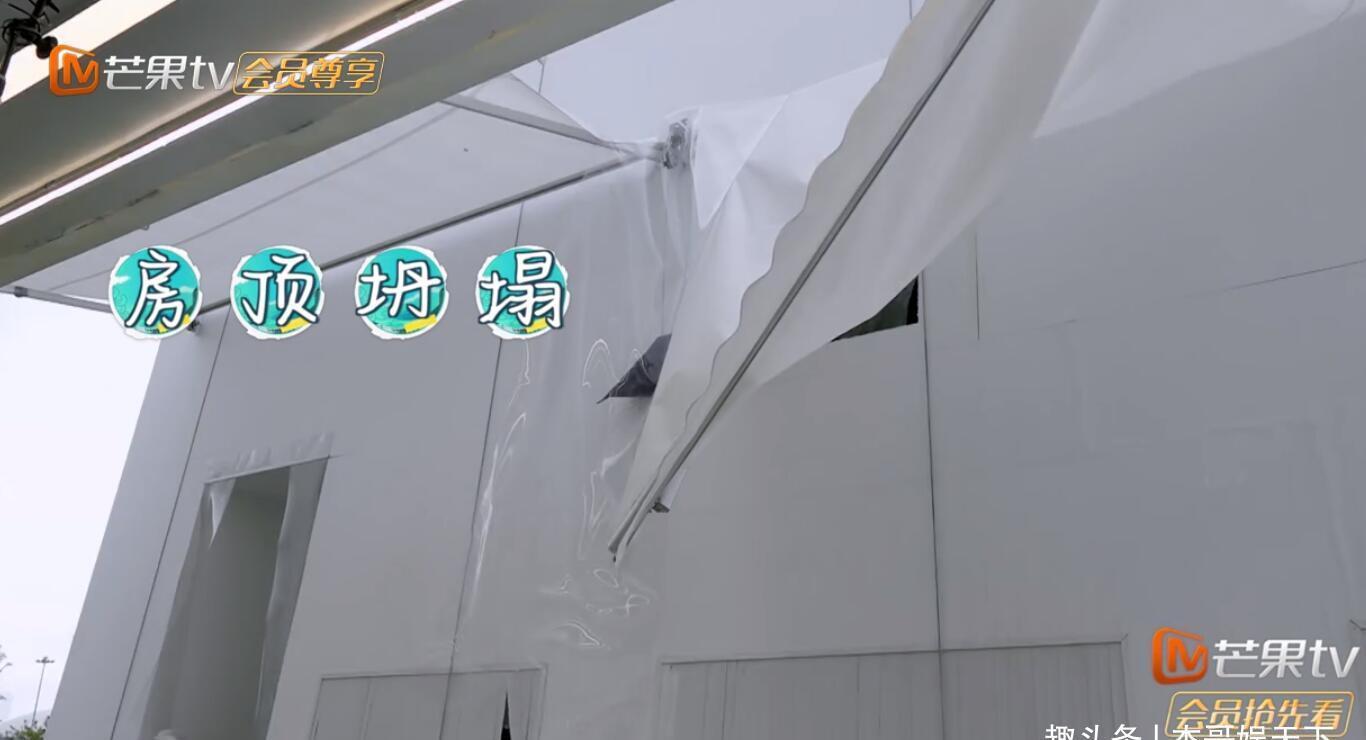 龚俊|《中餐厅5》口碑翻车的答案全在plus版中，节目组太给宁静面子了