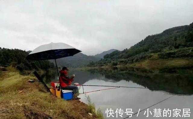 秋分|秋天钓鲫鱼，以秋分为分界线，难度越来越小，要点就是“灵活”
