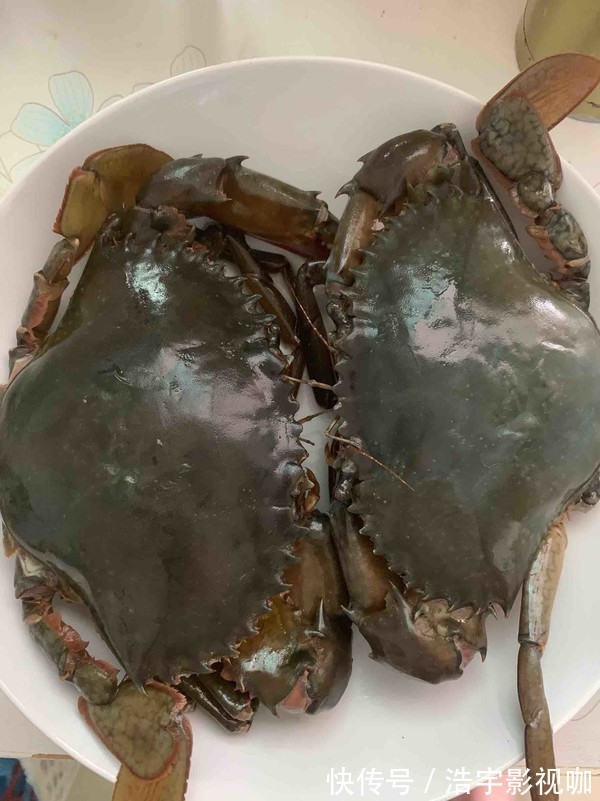 元素|清蒸大闸蟹,两种元素是关键,这样做,肉嫩不柴格外鲜美!