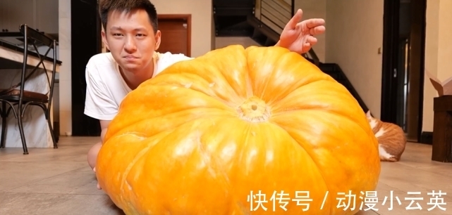 更上一层楼|敬汉卿挑战300斤南瓜王，自嘲是在吃猪食 ，发布不到一小时播放量上10W