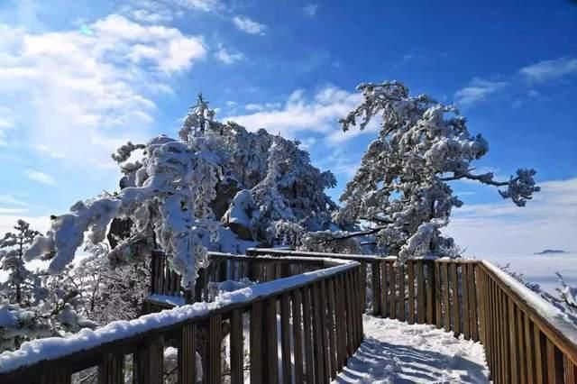 界岭|散文‖王玉贵：又到界岭飞雪时