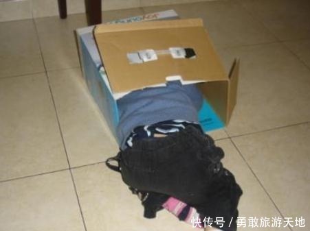 小时候|孩子小时候爱做这几件“怪事”,恭喜你,有一个大脑发达的孩子