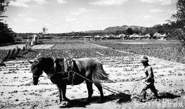 作战|二战太平洋上基建狂魔被困孤岛,却凭借生产自救上演狂野求生