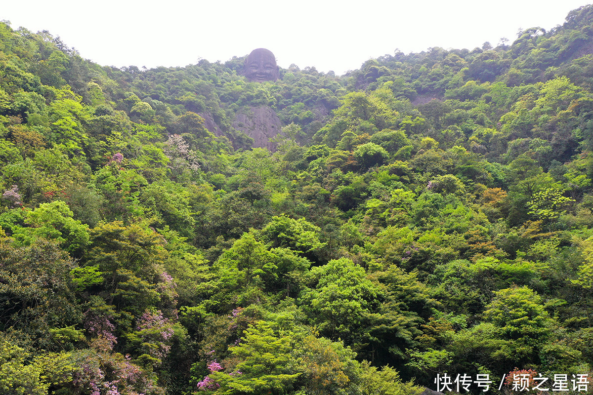 杭州 丽水千佛山,杭州大慈岩,佛是一座山,山是一尊佛